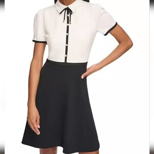 Karl Lagerfeld Paris dress